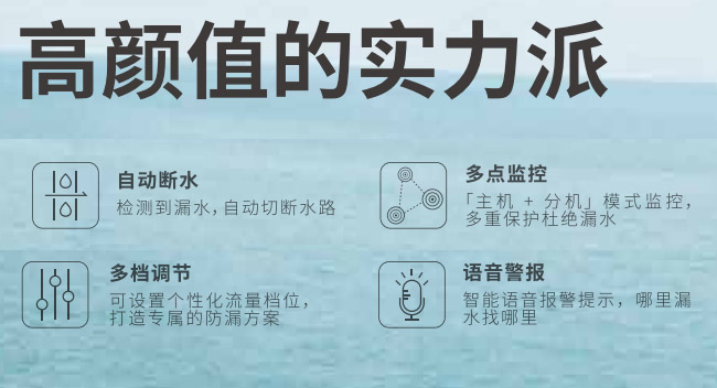 森乐·冰润BR-LD漏水保护器介绍插图3 森乐·冰润BR-LD漏水保护器介绍插图3