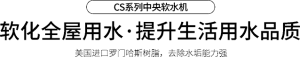 CS系列标题插图
