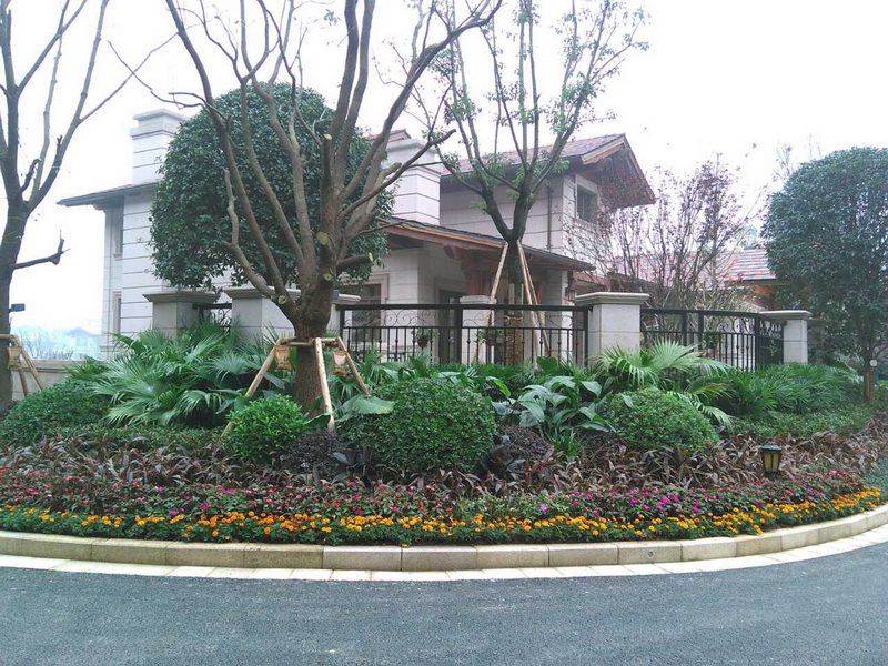 森乐为重庆财信赖特与山高端别墅客户提供净水系统插图2