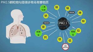et44410608181918.jpg插图