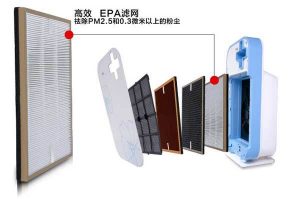 et44420608181921.jpg插图